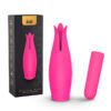 tulipa345